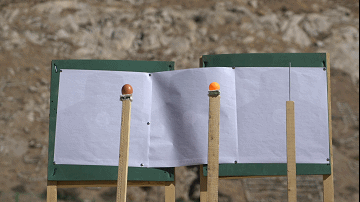 640 (1).gif