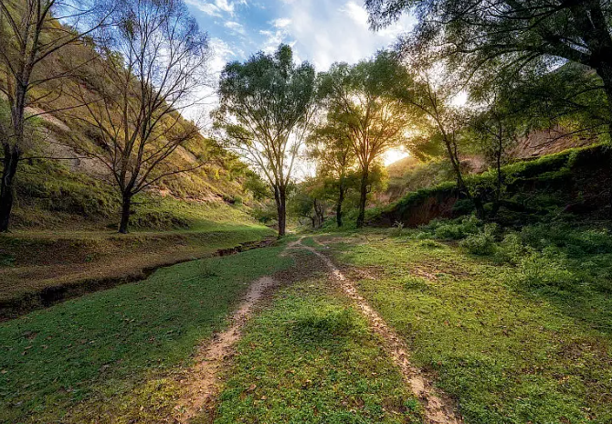 1769500778119081.png image.png